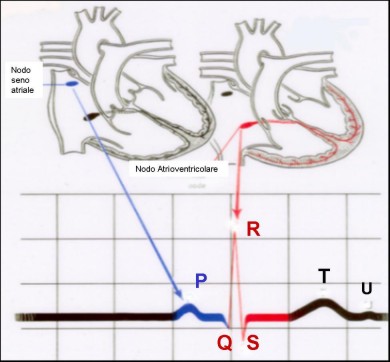 tracciato ECG